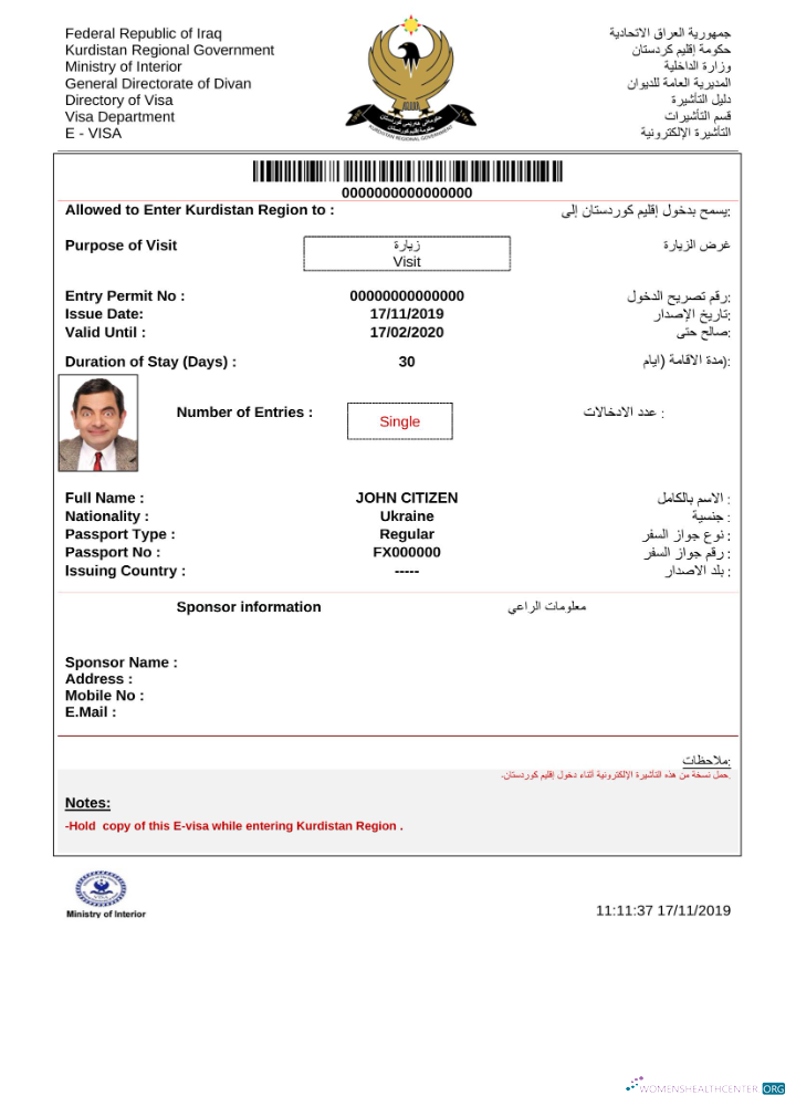 Download Iraq e visa in Word and PDF template Photoshop template